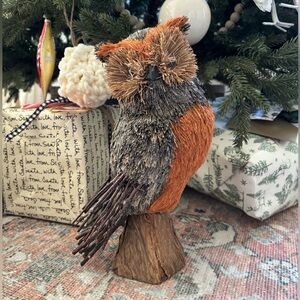 🌿🎄Pottery Barn Owl Christmas Decoration